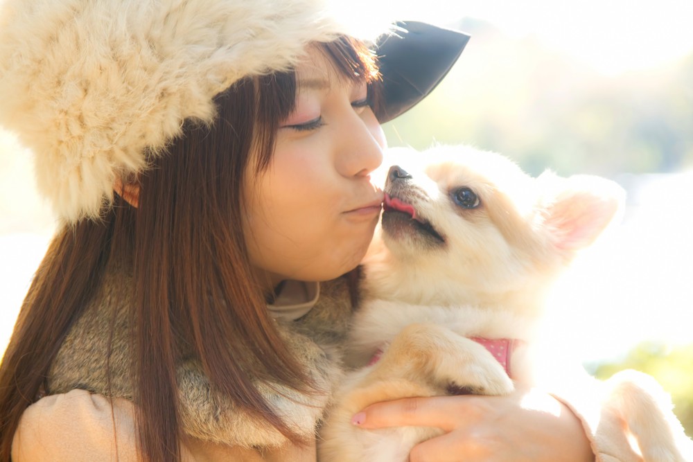 犬とキスする女の子
